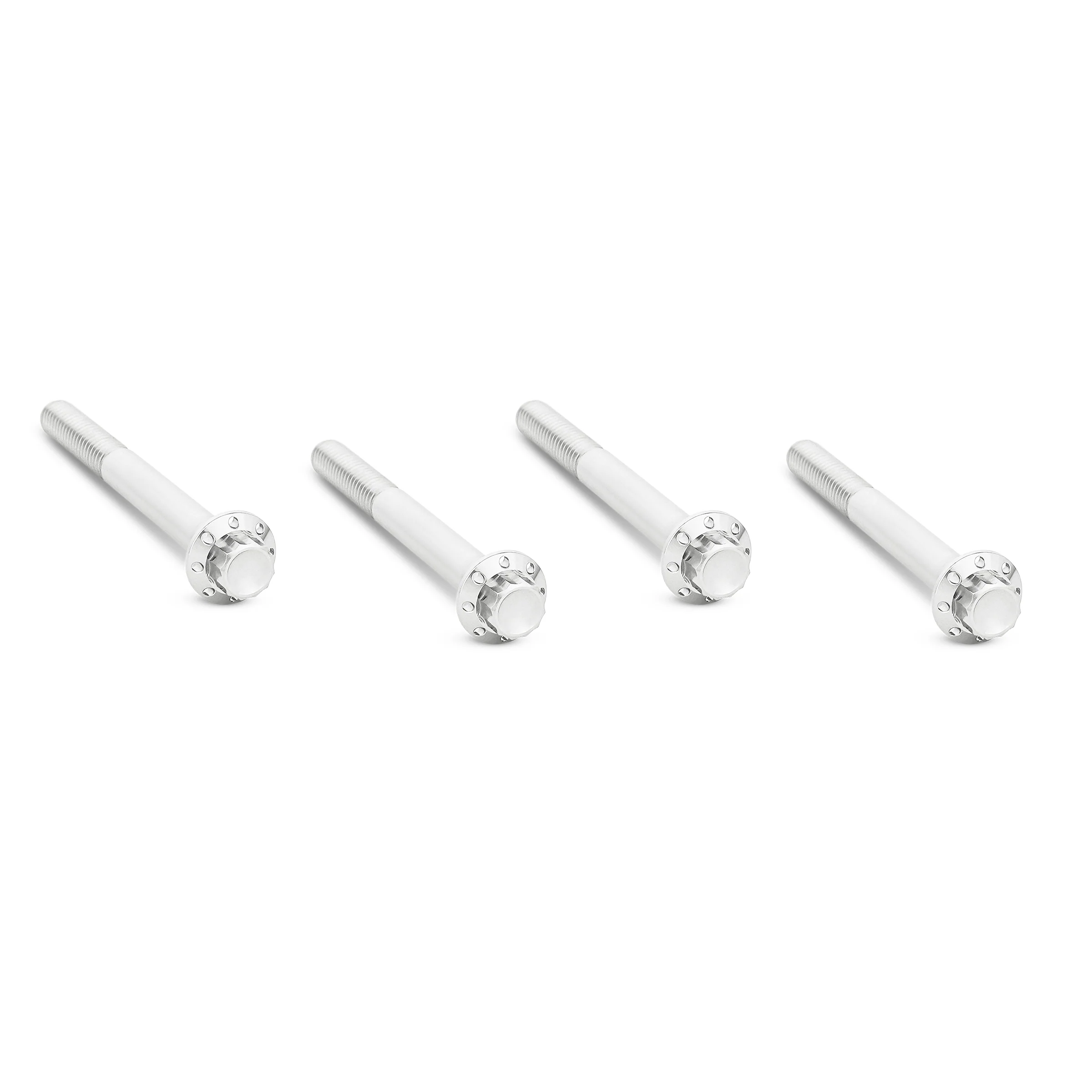 Titanium 12-Point Engine Case Bolt Kits, Polished